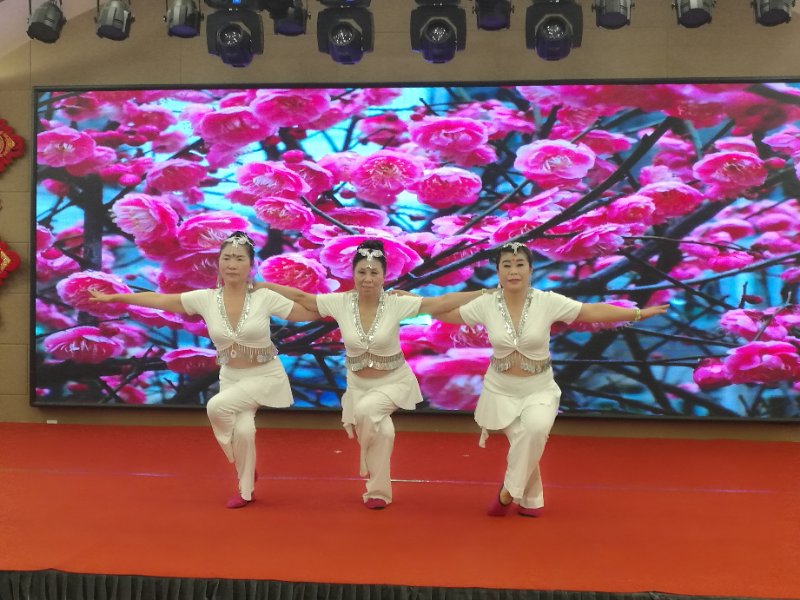 莲花艺术团表演瑜伽《梅花》